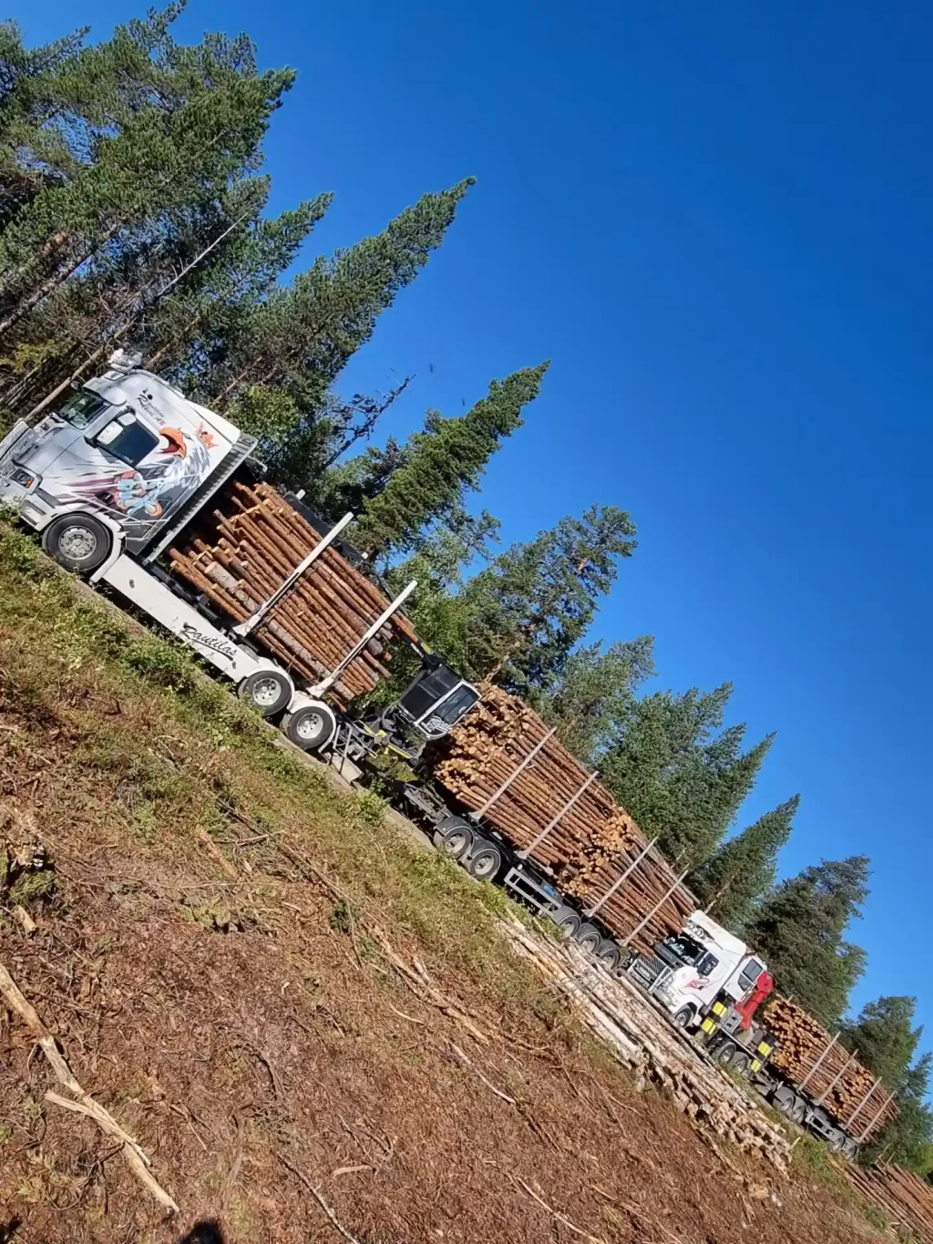 Rundvirke in Lennart Rautilas Åkeri Aktiebolag